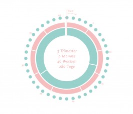 23,4°